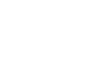 Bloomington-Normal YMCA logo